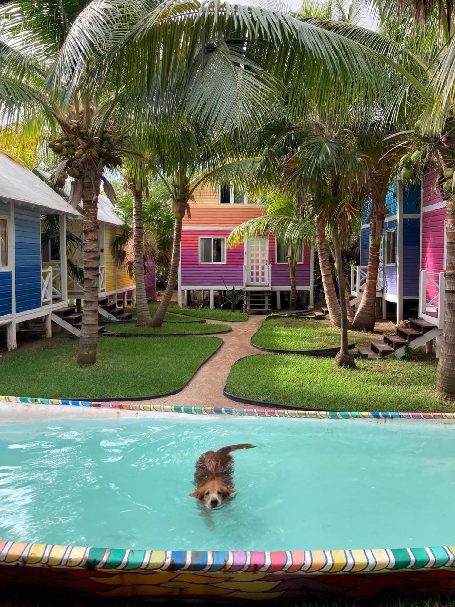Whyknot Holbox Bed & Breakfast Dış mekan fotoğraf
