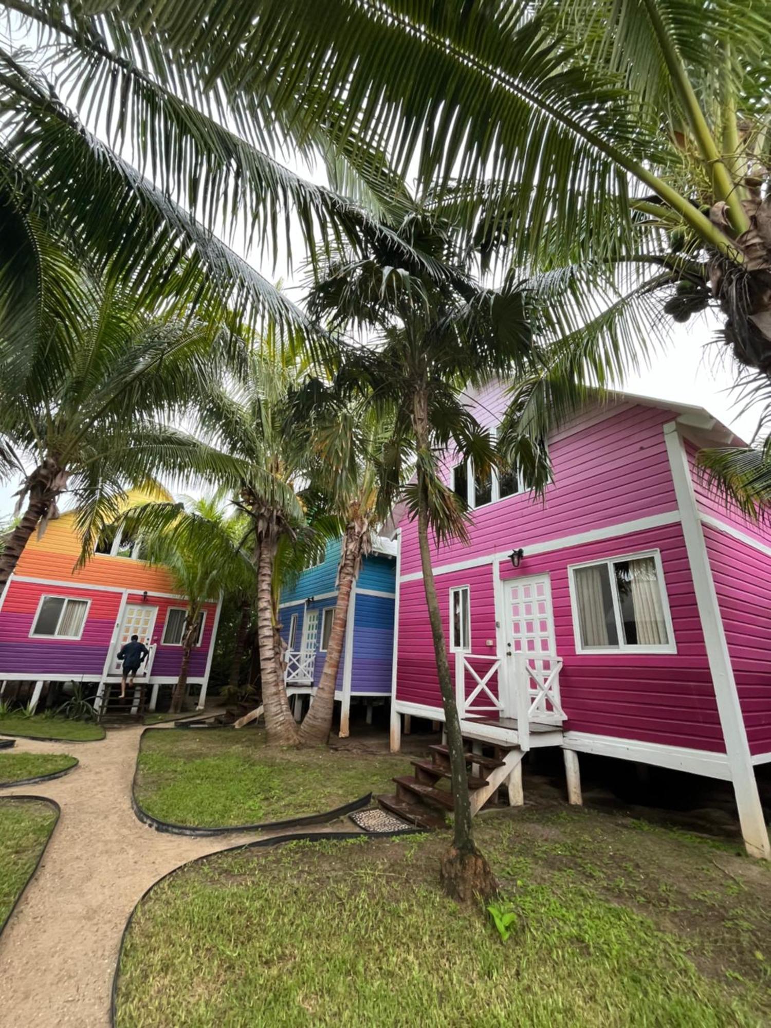 Whyknot Holbox Bed & Breakfast Dış mekan fotoğraf